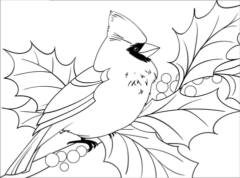 طرح خام گلدوزی پرنده روی شاخه با برگ پهن
