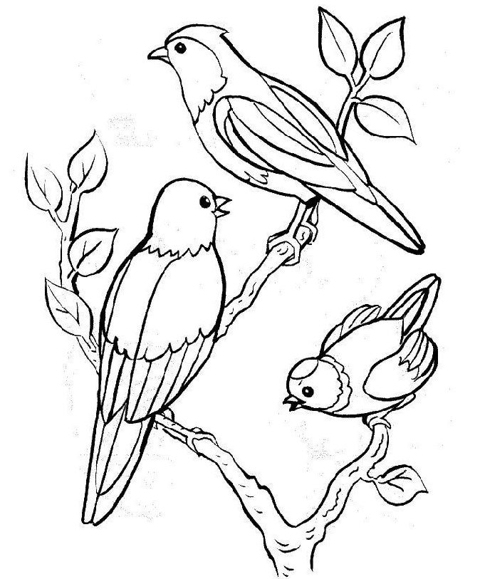 طرح خام گلدوزی دو پرنده و جوجه