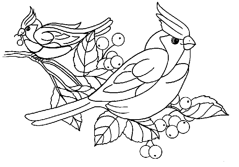 طرح خام گلدوزی دو پرنده و میوه