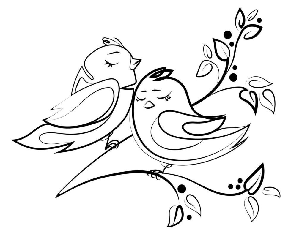 طرح خام گلدوزی پرنده های عاشق