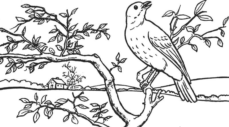 طرح خام گلدوزی پرنده و درخت