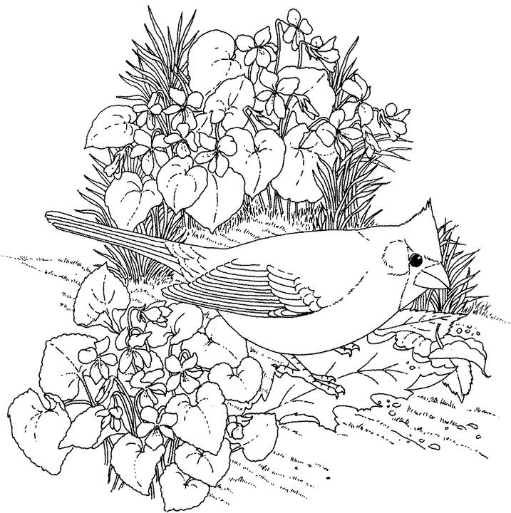 طرح خام گلدوزی پرنده در میان گل ها