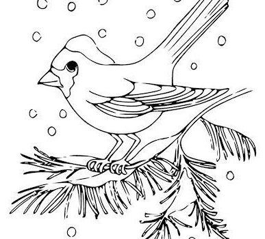 طرح خام گلدوزی پرنده و برف