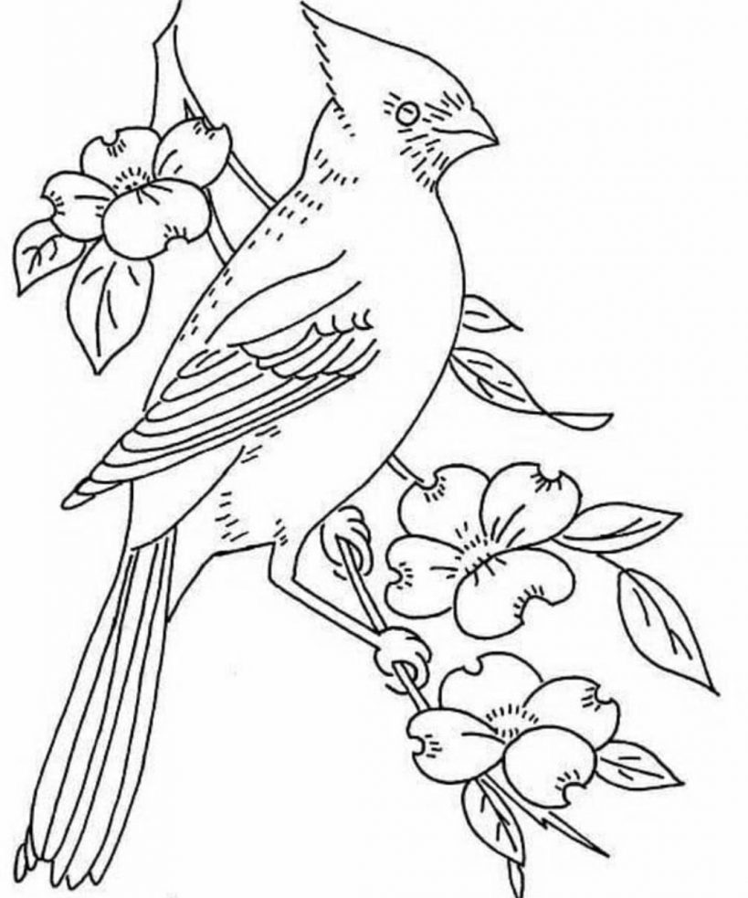 طرح خام گلدوزی پرنده روی شاخه گل