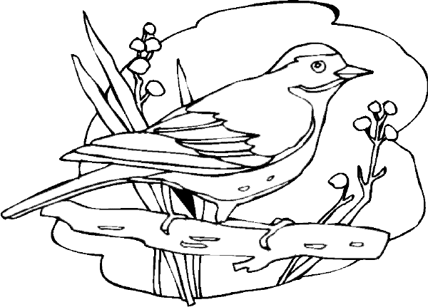 طرح خام گلدوزی پرنده زیبا