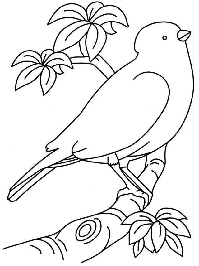 طرح خام گلدوزی پرنده با درخت
