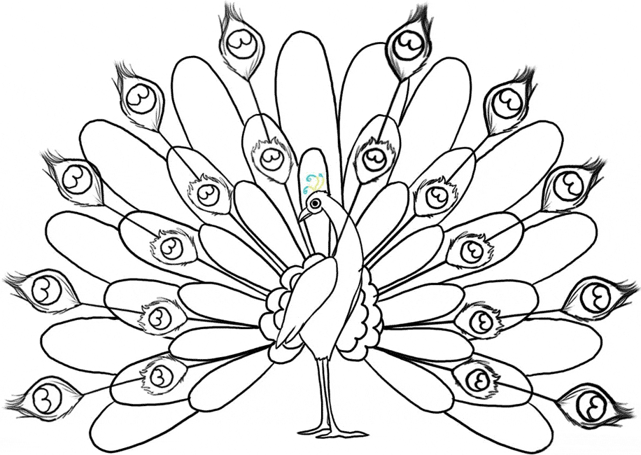 طرح خام گلدوزی پرنده طاووس با پرهای افراشته